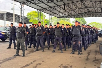 Foto - 15º Campeonato de Cães das guardas civis municipais