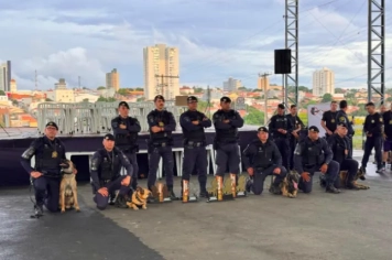 Foto - 15º Campeonato de Cães das guardas civis municipais