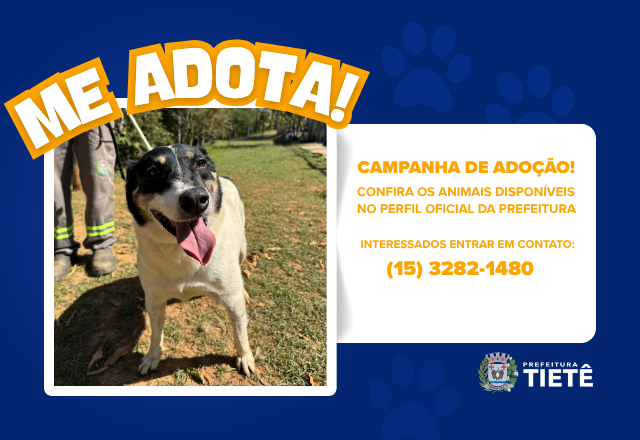 CAMPANHA DE ADOÇÃO