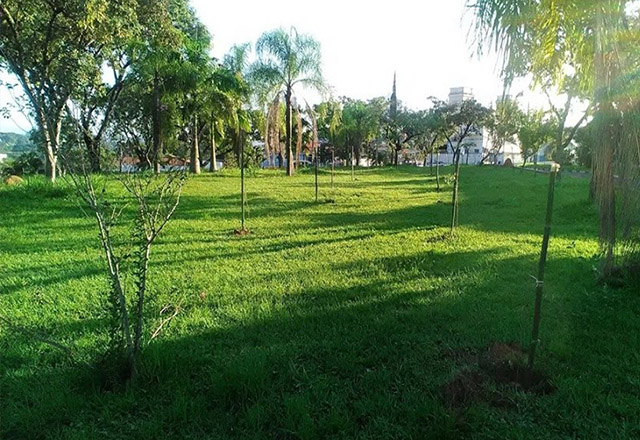 Terminal Rodoviário Recebe Plantio De Mais Mudas