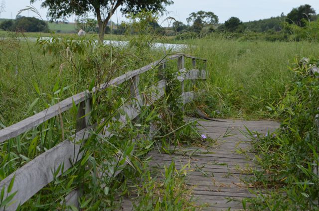 Prefeito e Secretário de Cultura visitam o Parque Ecológico Cornélio Pires