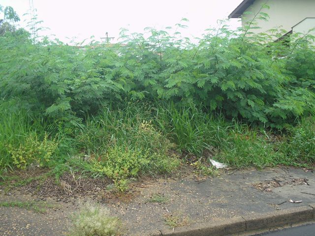 Prefeitura de Tietê solicita limpeza de lotes