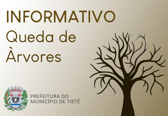 Quedas de árvores são registradas em Tietê