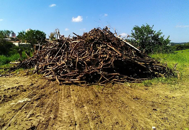 Primeiro lote de material de podas traz benefícios ao Município