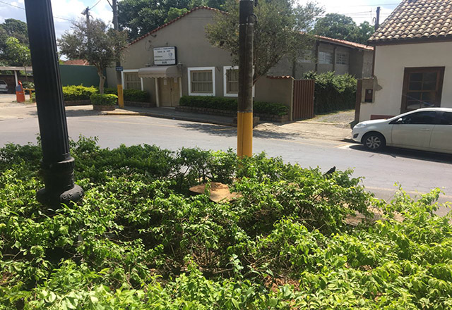 Corte de árvore e poda preventiva foram realizados na Praça J. A. Corrêa