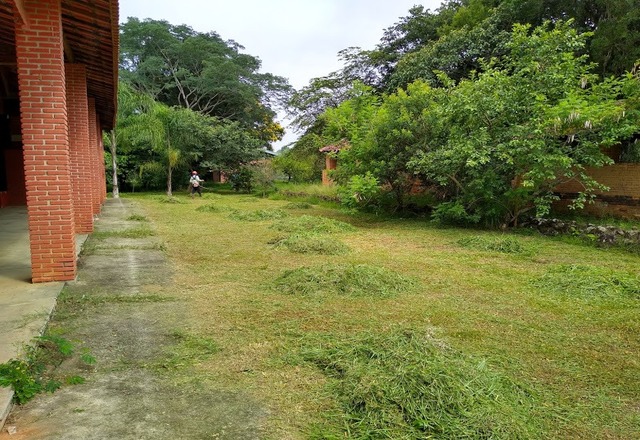 Secretarias Municipais realizam roçada no Parque Ecológico