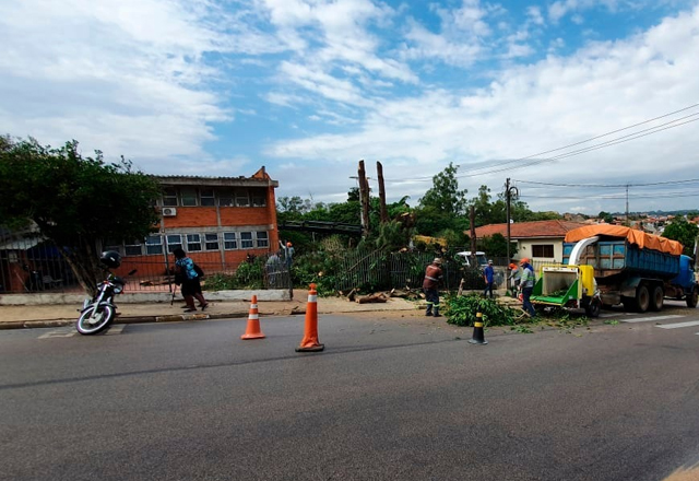 Árvores da Unidade Básica de Saúde Central são erradicadas para prevenir danos