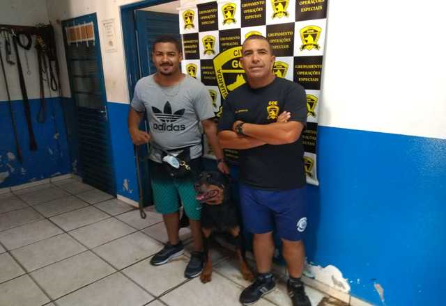 Rotweiller do GOE é adotado