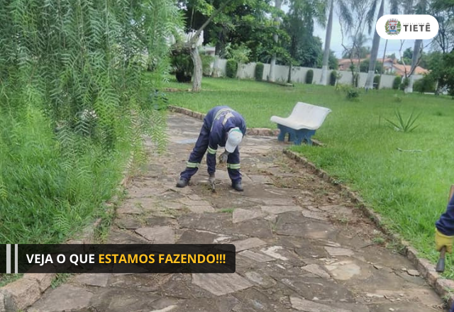 VEJA O QUE ESTAMOS FAZENDO!!!