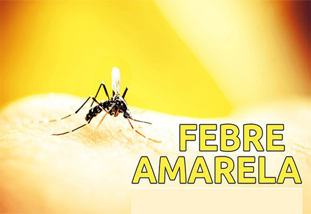 Tietê aplicará vacina fracionada contra febre amarela