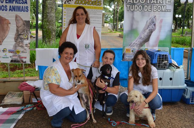 Primeira Feira de Adoção de Cães e Gatos tem resultado positivo