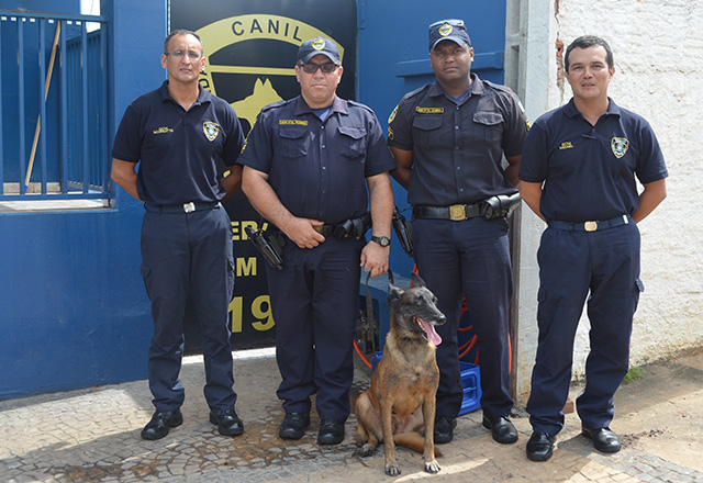 Cadela Naja recebe aposentadoria e é adotada