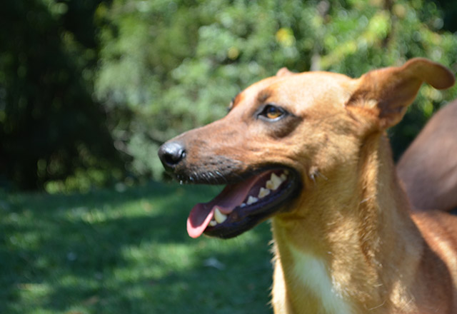 Prefeitura adere ao Dezembro Verde