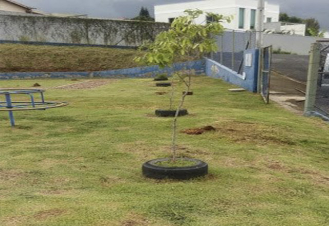 SEMADES realiza plantio de mudas em escolas do município