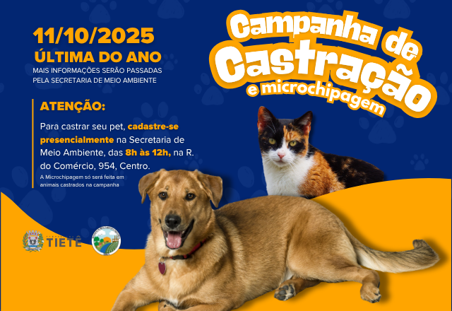 Última campanha de castração e microchipagem do ano