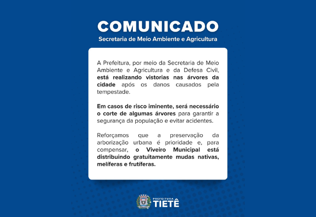 Diversas árvores em calçadas e áreas verdes sofreram danos