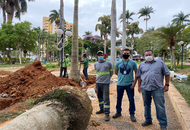 PRAÇA DOUTOR ELIAS GARCIA RECEBE NOVAS PALMEIRAS GIGANTES, ABRINDO AS AÇÕES DA PREFEITURA PARA SUA REVITALIZAÇÃO