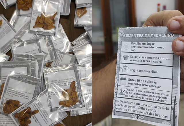 SEMENTES FORAM DOADAS PARA PRODUÇÃO DE MUDAS AOS ESTUDANTES DO ENSINO FUNDAMENTAL